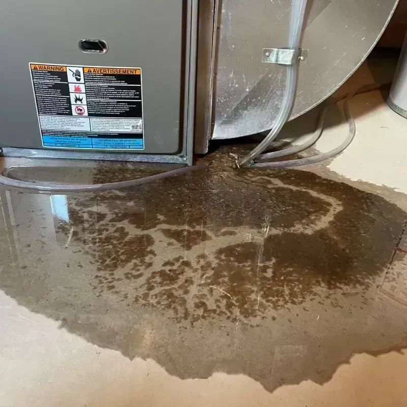 Appliance Leak Cleanup in Lincoln Park, CO